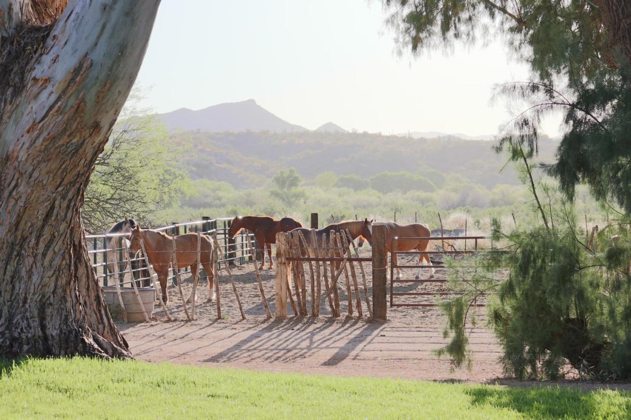 Kay El Bar Guest Ranch Otel Wickenburg Dış mekan fotoğraf