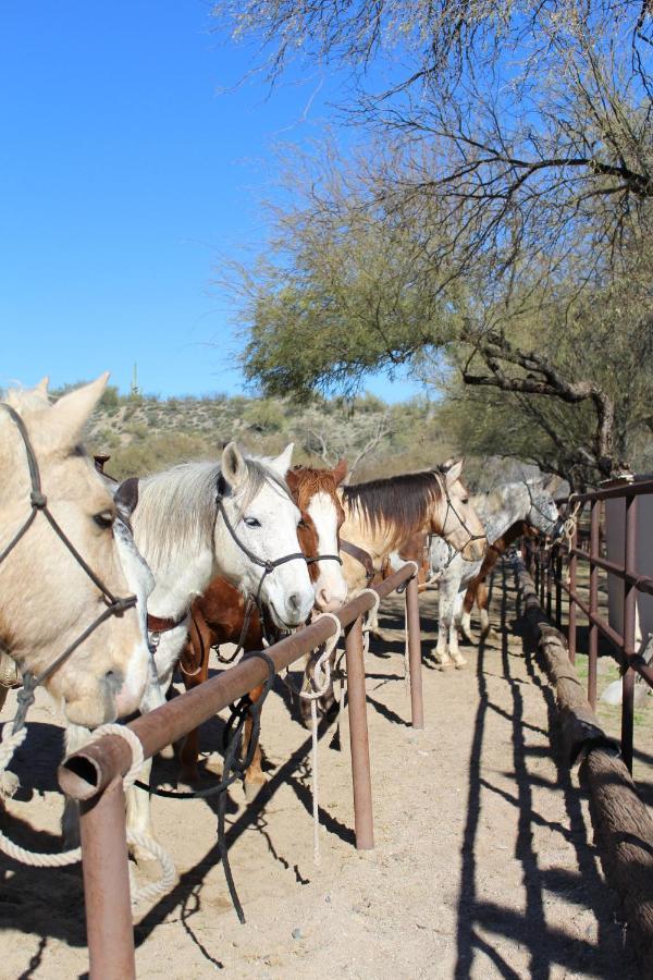 Kay El Bar Guest Ranch Otel Wickenburg Dış mekan fotoğraf