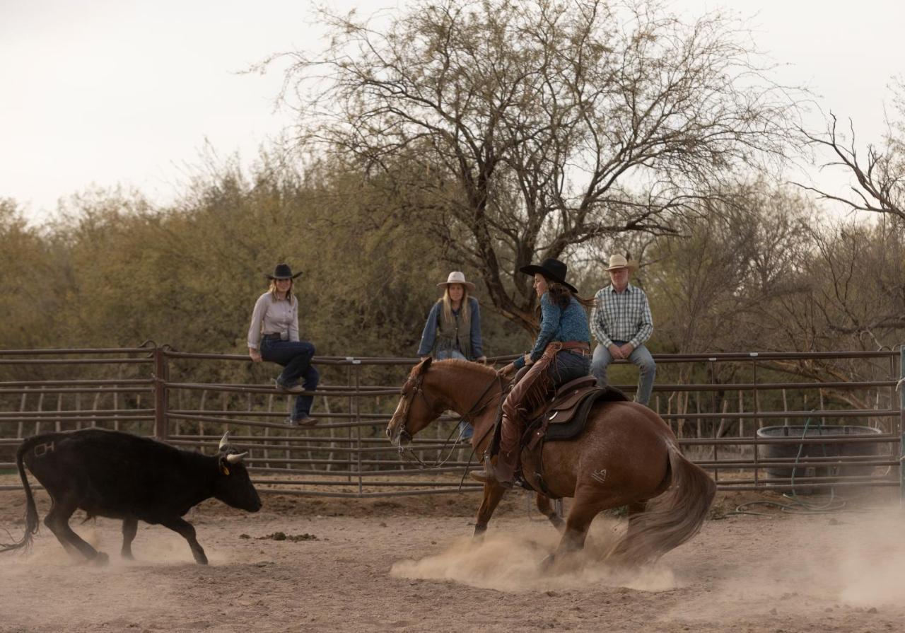 Kay El Bar Guest Ranch Otel Wickenburg Dış mekan fotoğraf
